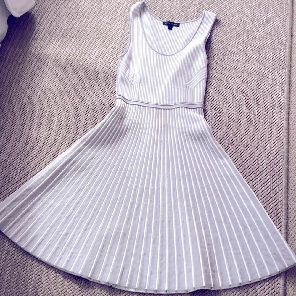 Petite Banana Republic Stipe Dress